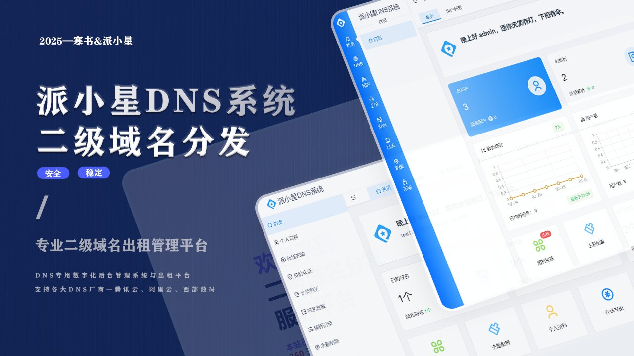 2025派小星DNS二级域名分发公测免费版-流柒小屋